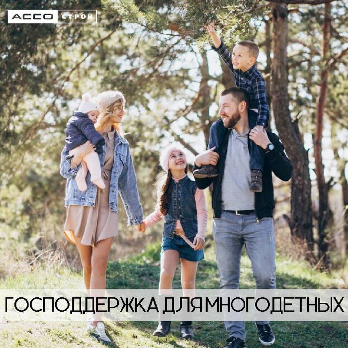 Господдержка для многодетных
