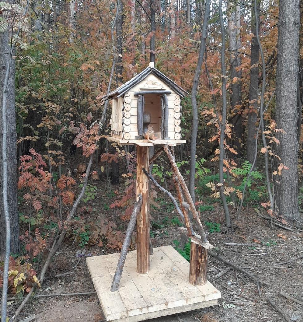 Домик для белок рядом с ЖК Настроение 